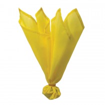 Official Penalty Flag