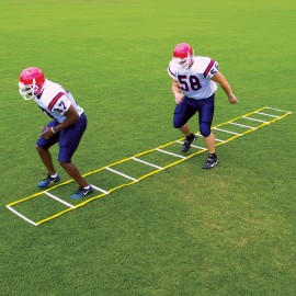 30' Single Speed Ladder