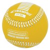 Individual Weighted Baseball Training Balls