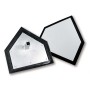 Stanchion Mount Home Plate